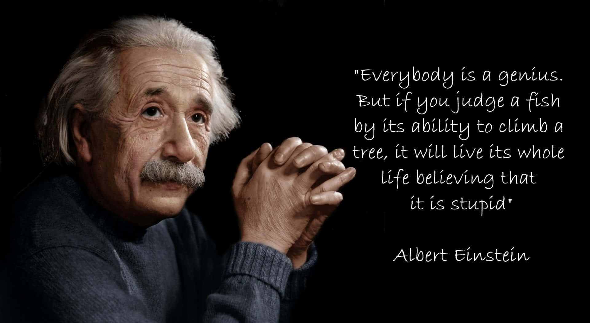 Alberteinsteins Citat - Albert Einsteins Citat