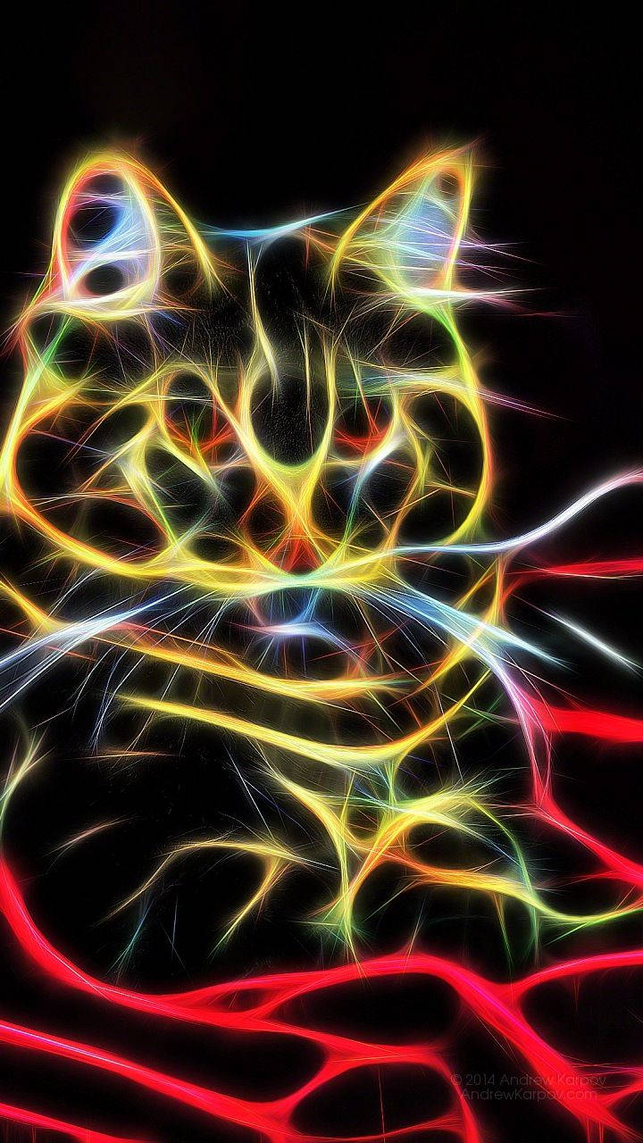 Alcatel Neon Lights Cat  Wallpaper