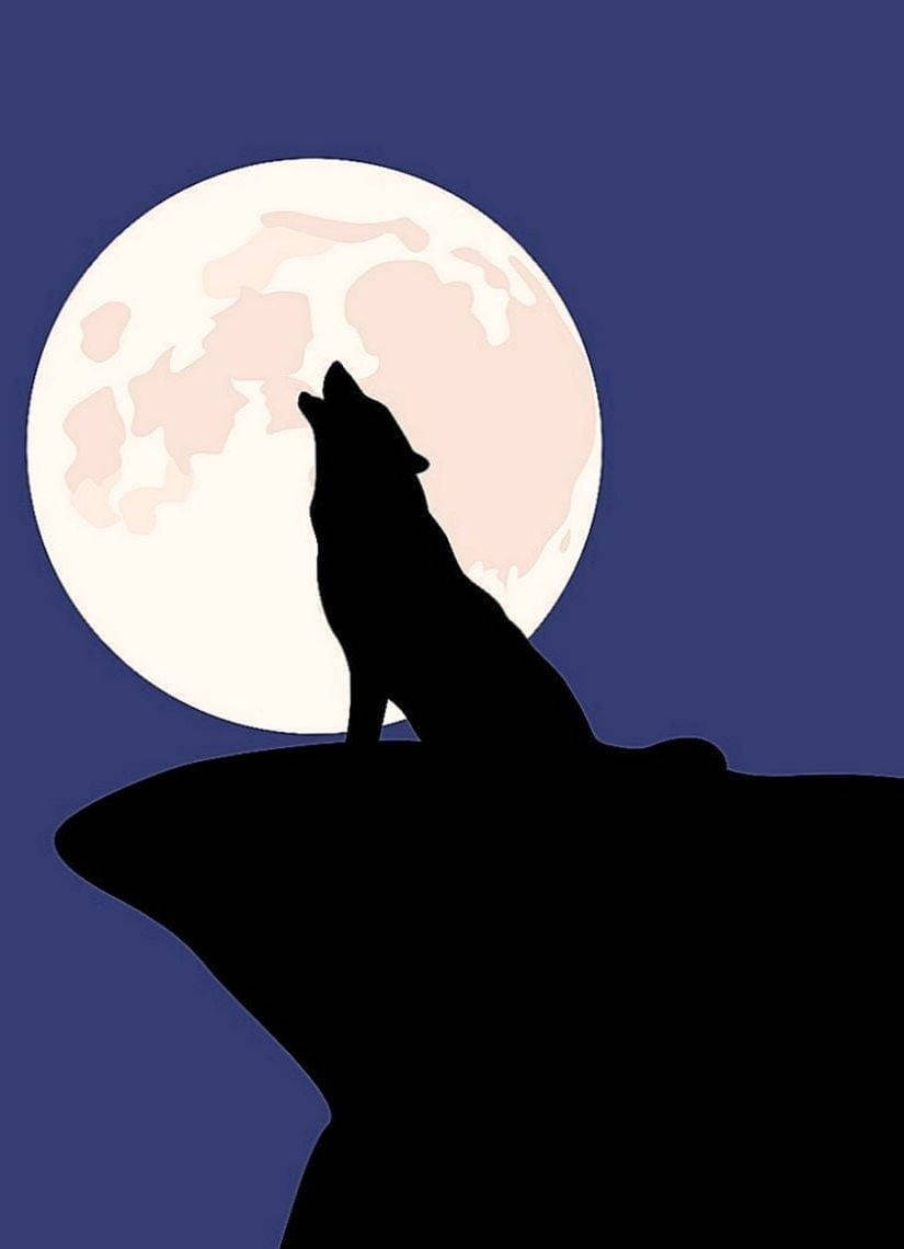 Alcatel Wolfsilhouette Wallpaper