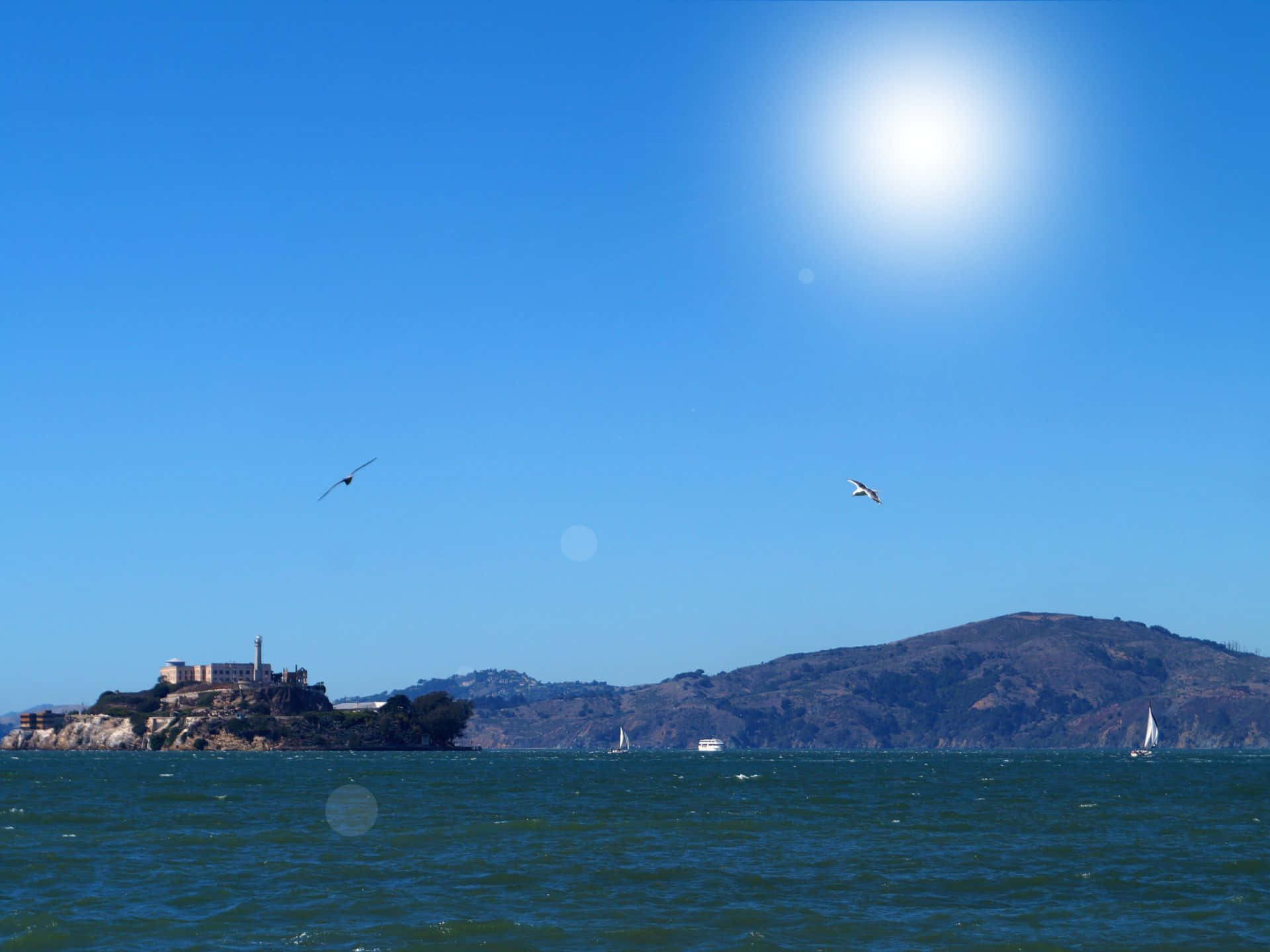 Alcatraz Island Sunny Day Seagulls Wallpaper