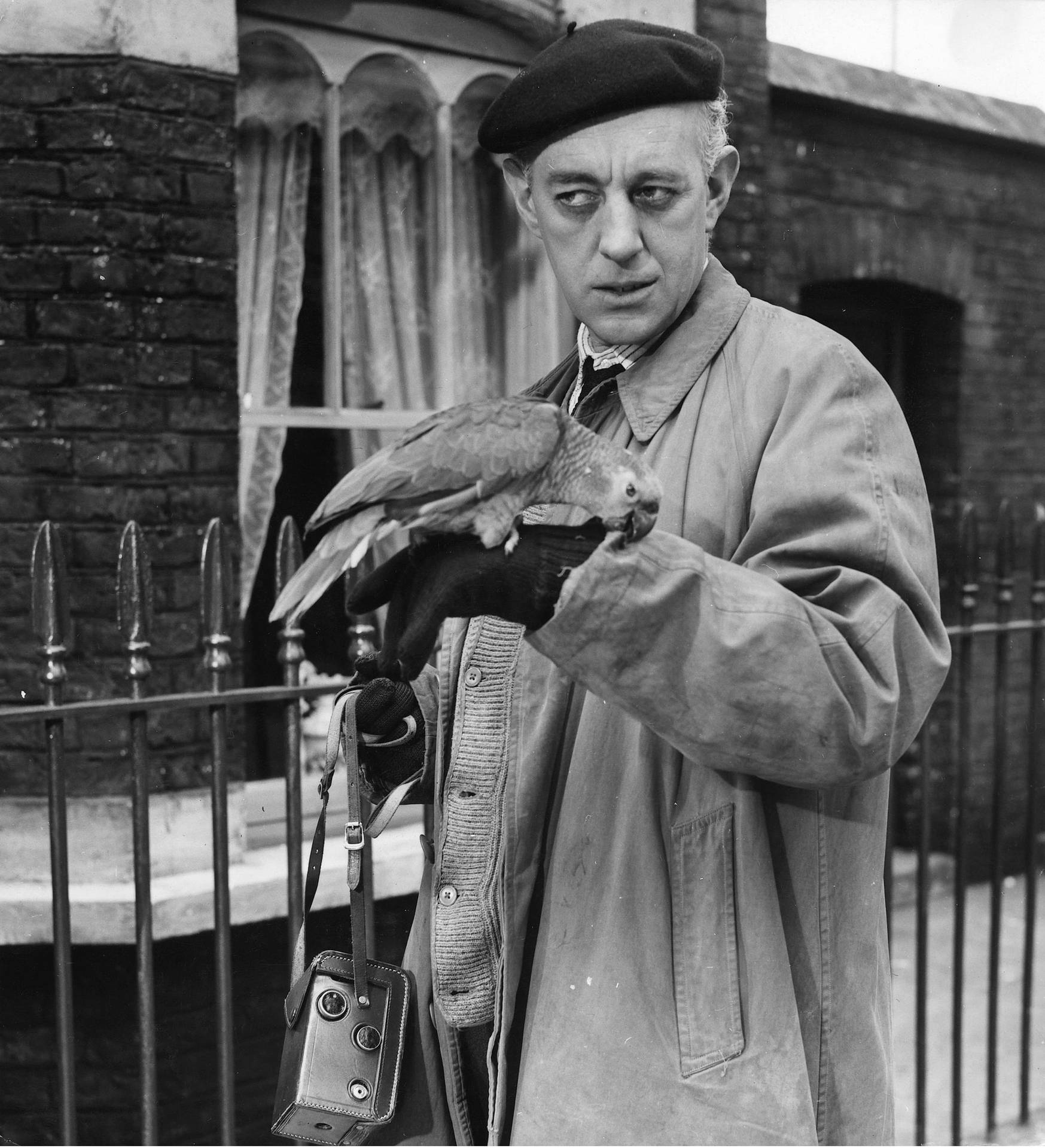 Alec Guinness With Parrot Wallpaper