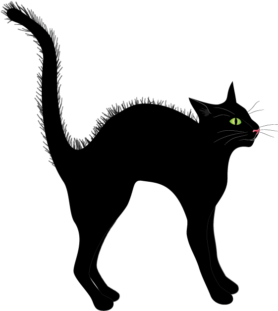 Alert Black Cat Illustration.png PNG