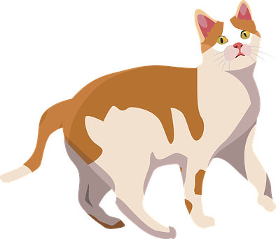 Alert Calico Cat Illustration PNG