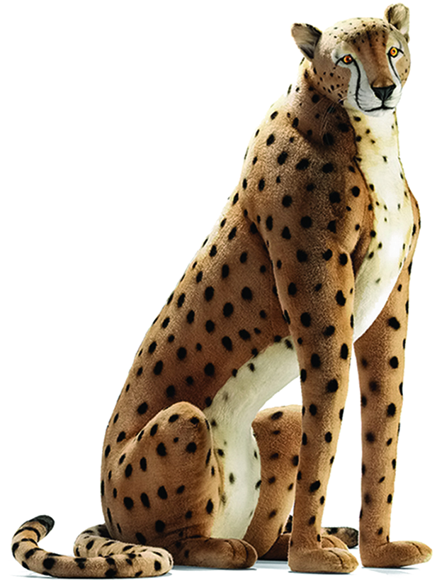 Alert Cheetah Sitting Transparent Background.png PNG