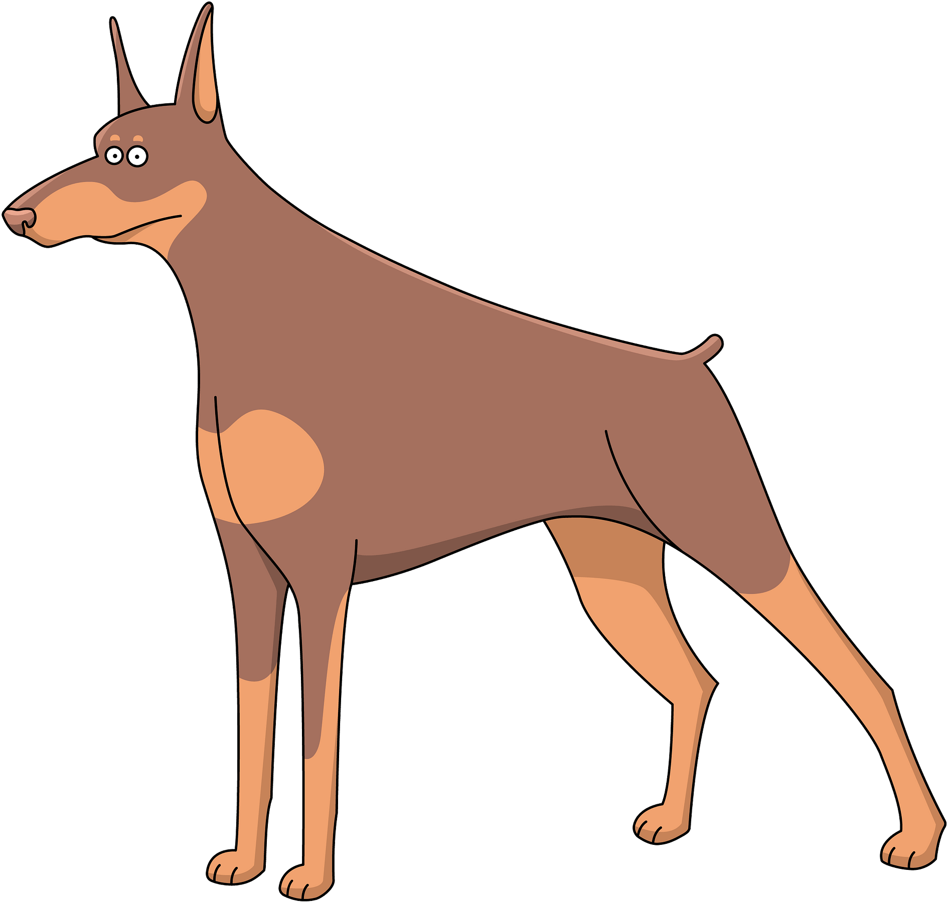 Alert Doberman Cartoon Illustration PNG