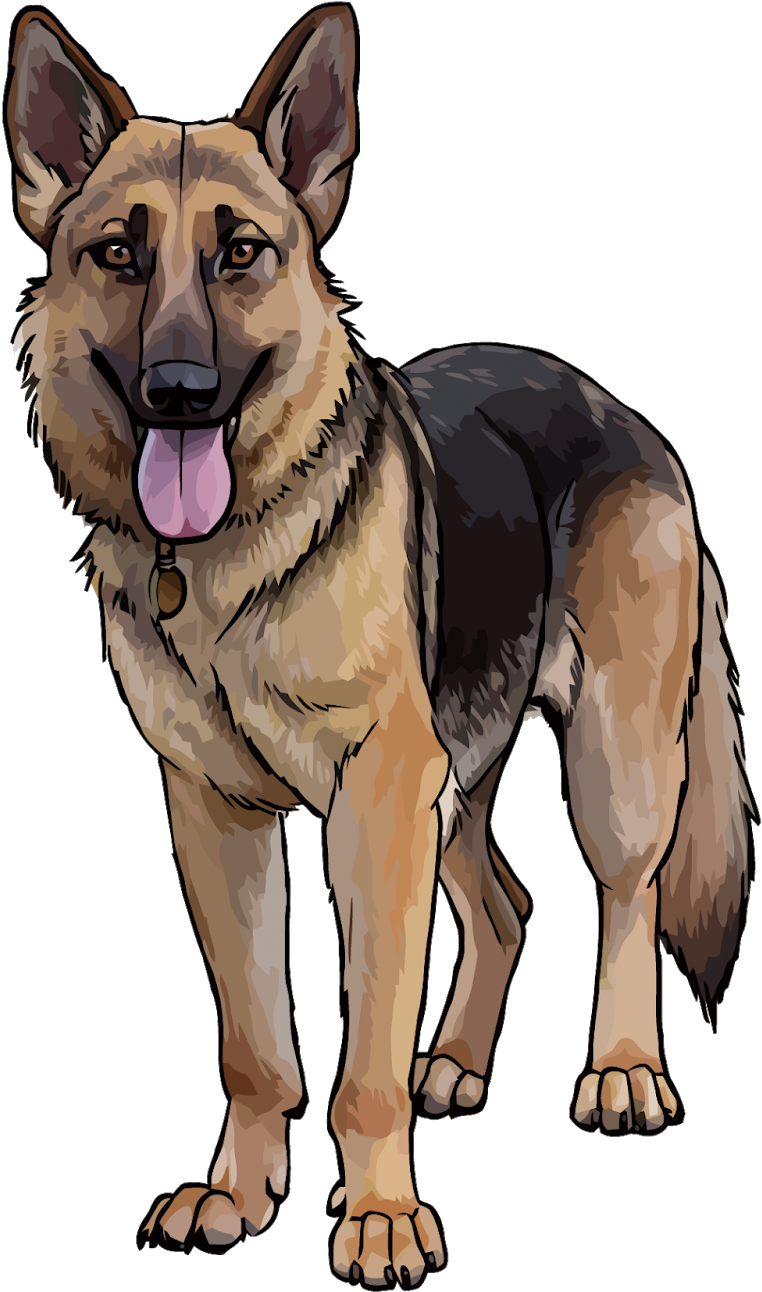 Alert German Shepherd Illustration PNG