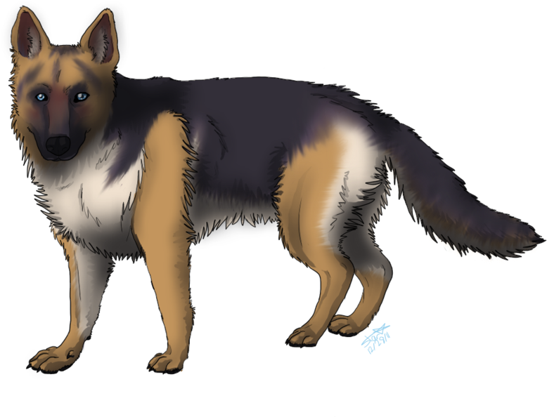 Alert German Shepherd Illustration PNG