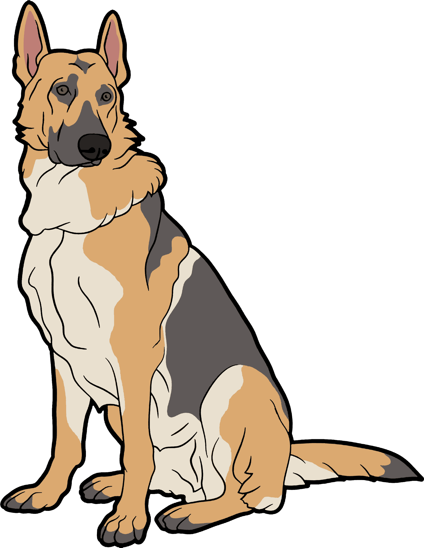 Alert German Shepherd Illustration.png PNG