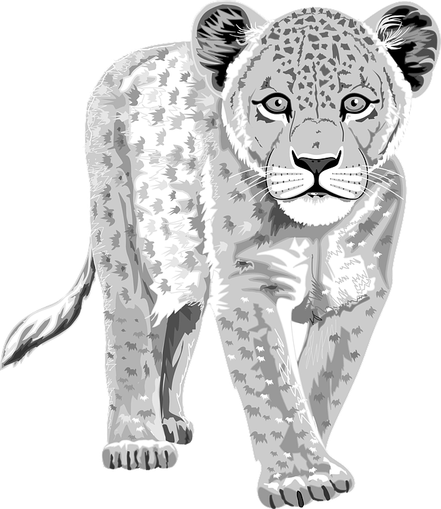 Alert Leopard Illustration PNG