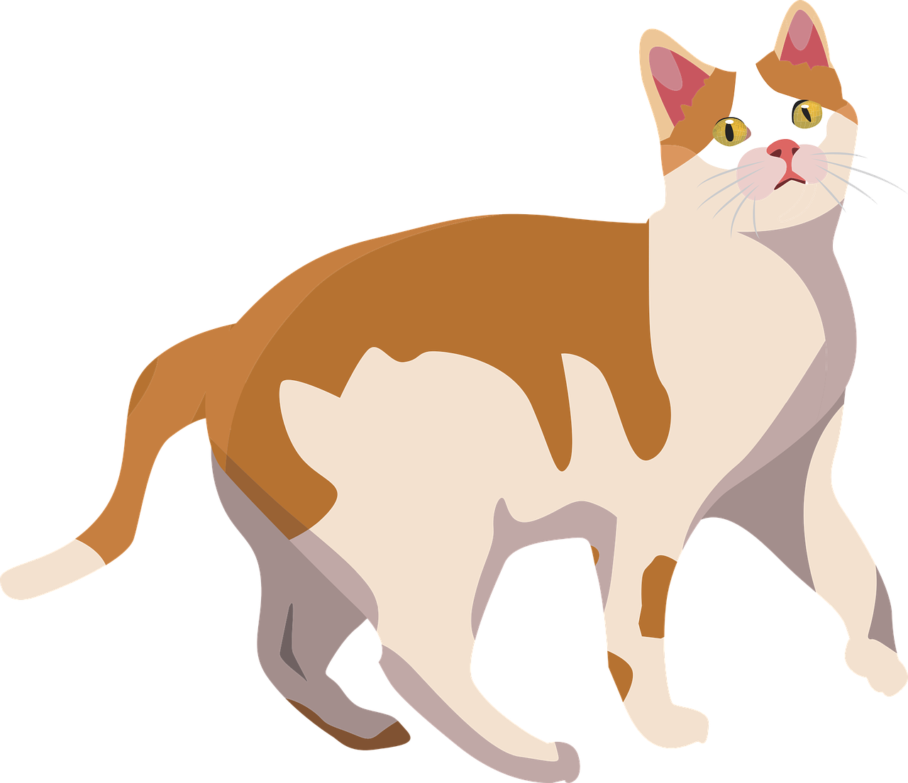 Alert Orangeand White Cat Illustration.png PNG