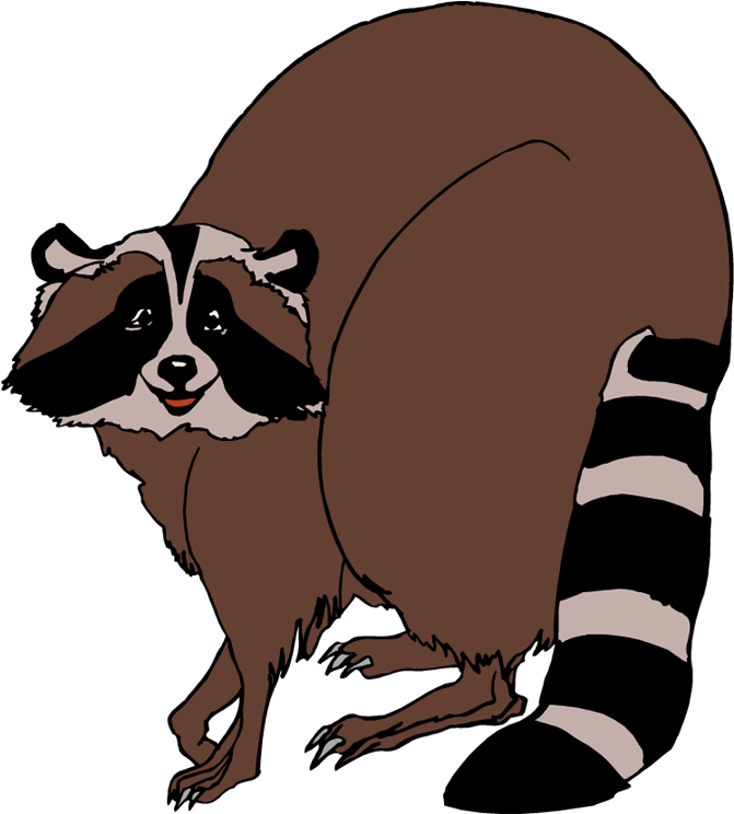Alert Raccoon Illustration SVG
