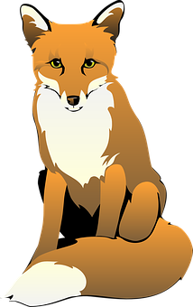 Alert Red Fox Illustration PNG