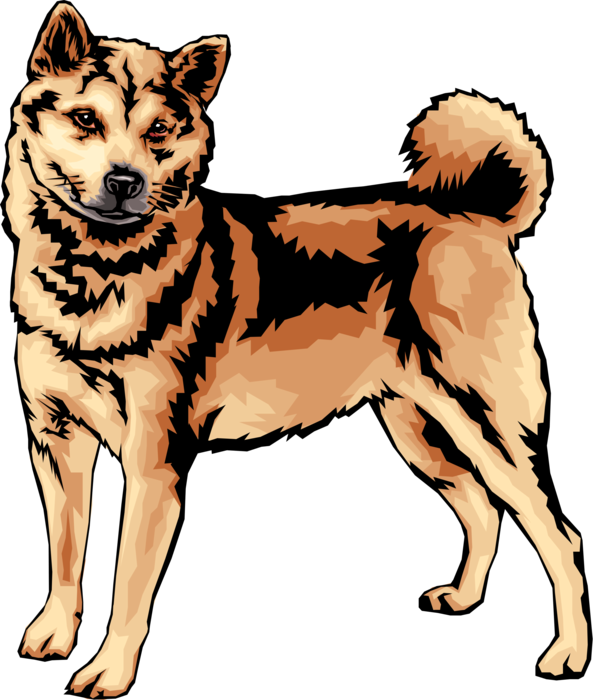 Alert Shiba Inu Illustration.png PNG