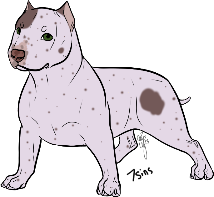 Alert White Pitbull Illustration PNG