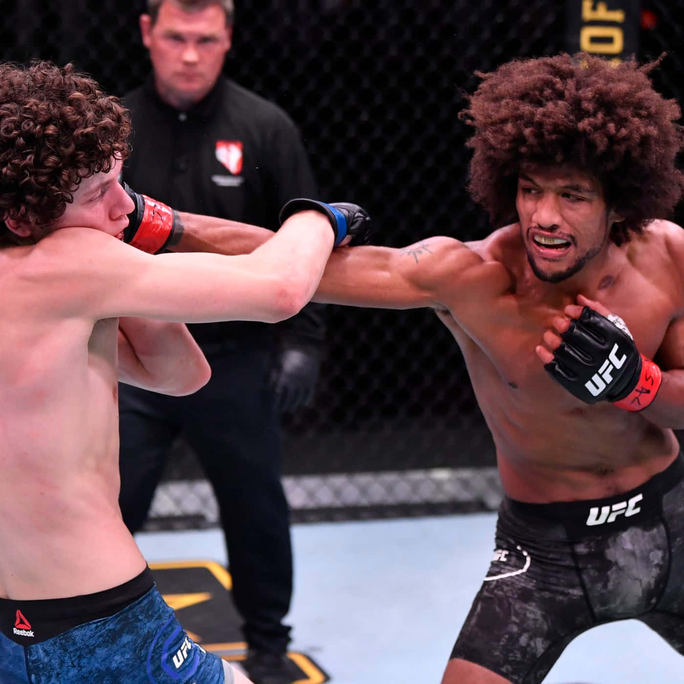 Alex Caceres Punching Chase Hooper Wallpaper