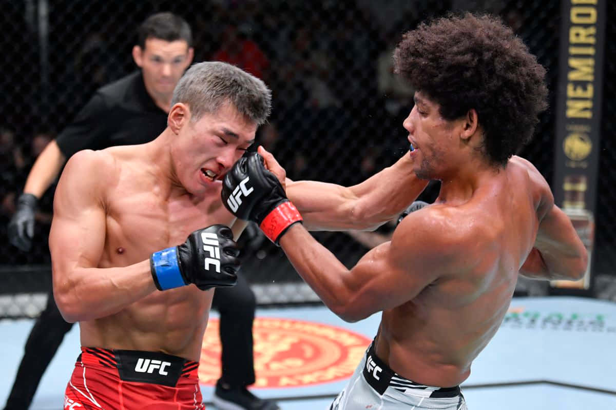 Alex Caceres Punching Seungwoo Choi Wallpaper