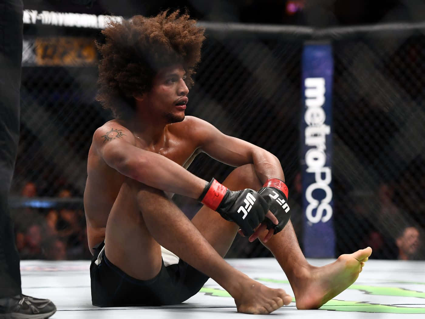 Alex Caceres Sitting Inside Ring Wallpaper