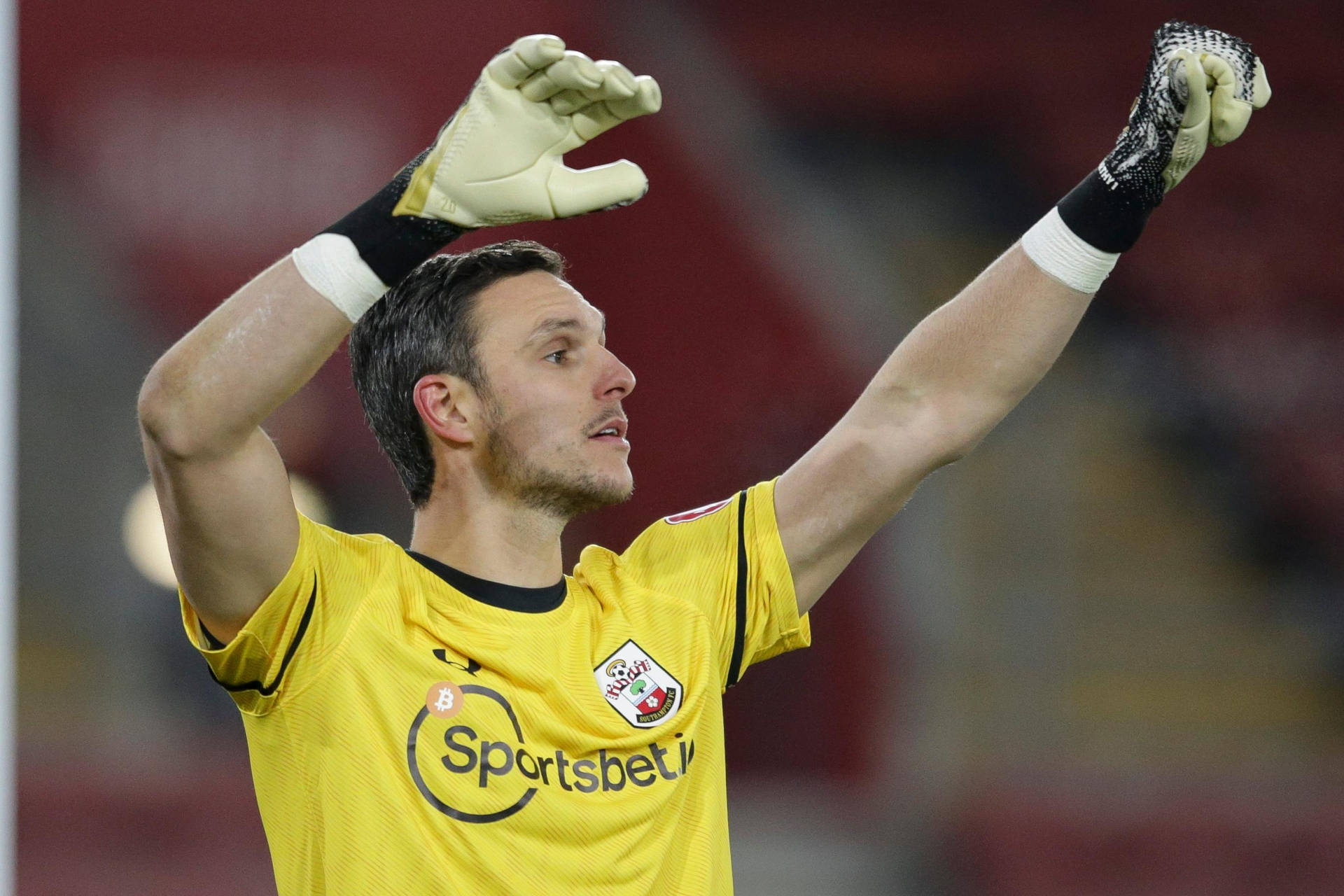 Alex McCarthy With Arms Up Wallpaper