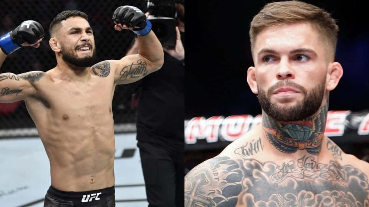 Alex Perez and Cody Garbrandt prepare for their UFC match Wallpaper