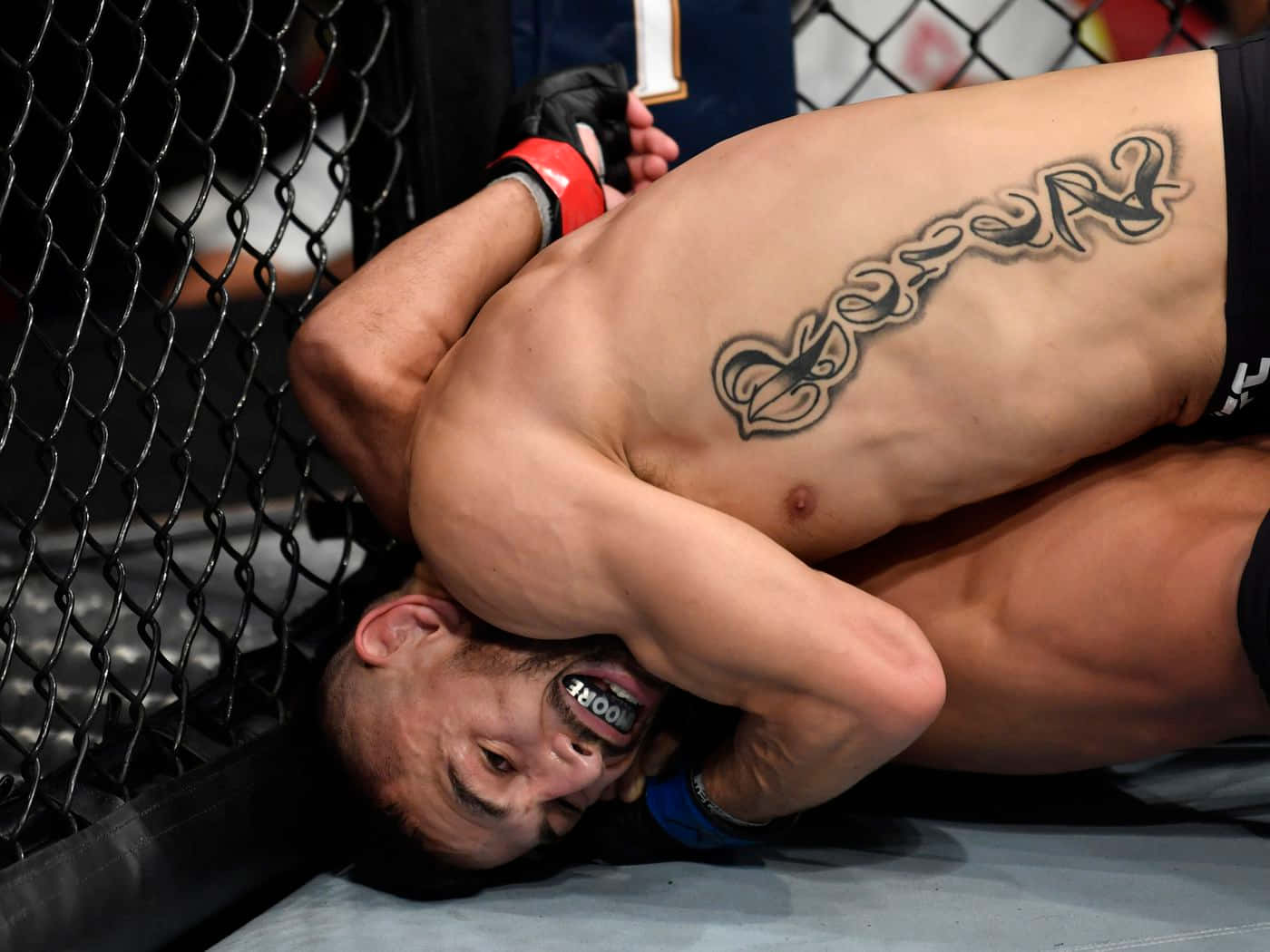 Alex Perez victorious after successfully executing a choke on his opponent Wallpaper