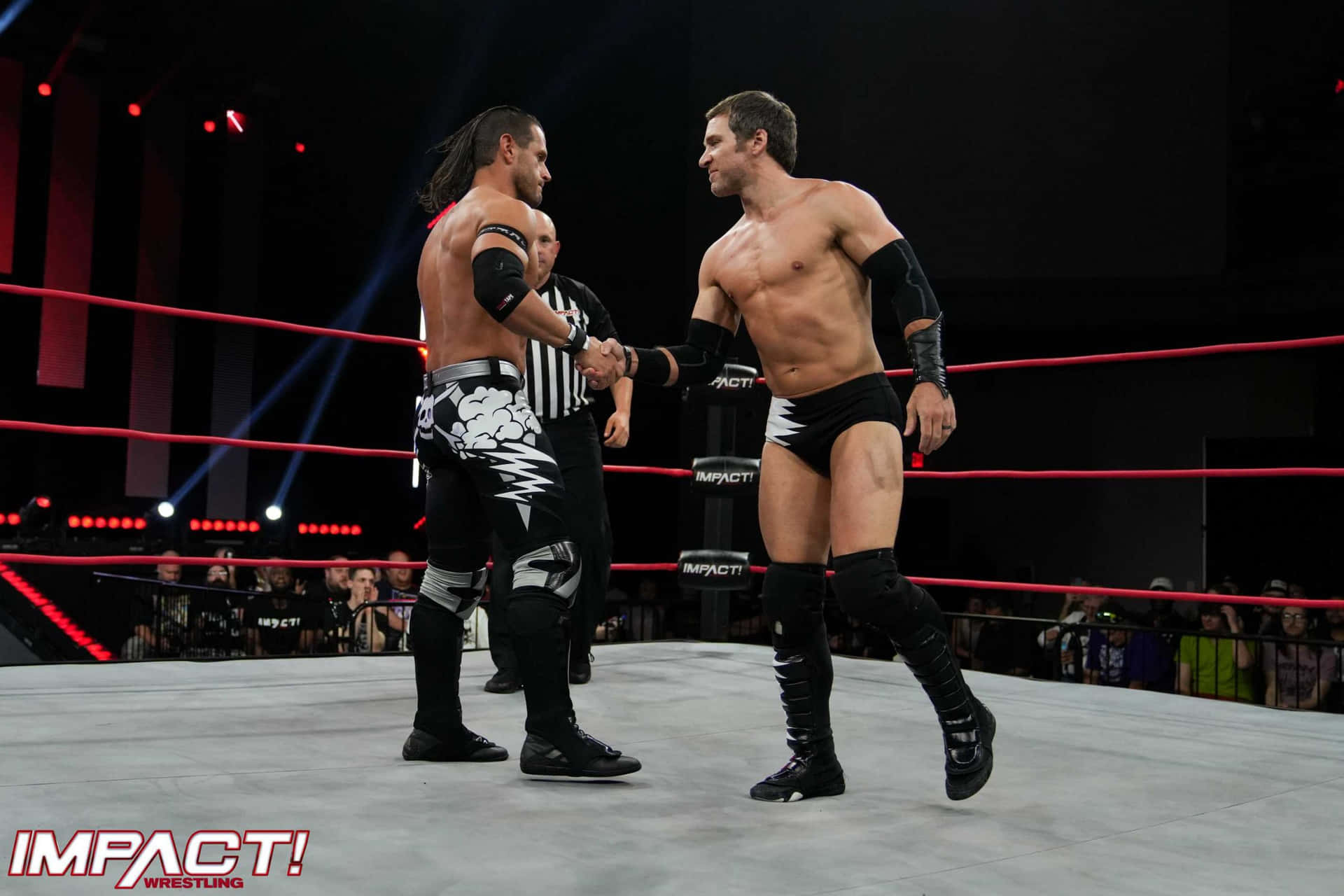 Alex Shelley Shaking Hands With Chris Sabin Wallpaper