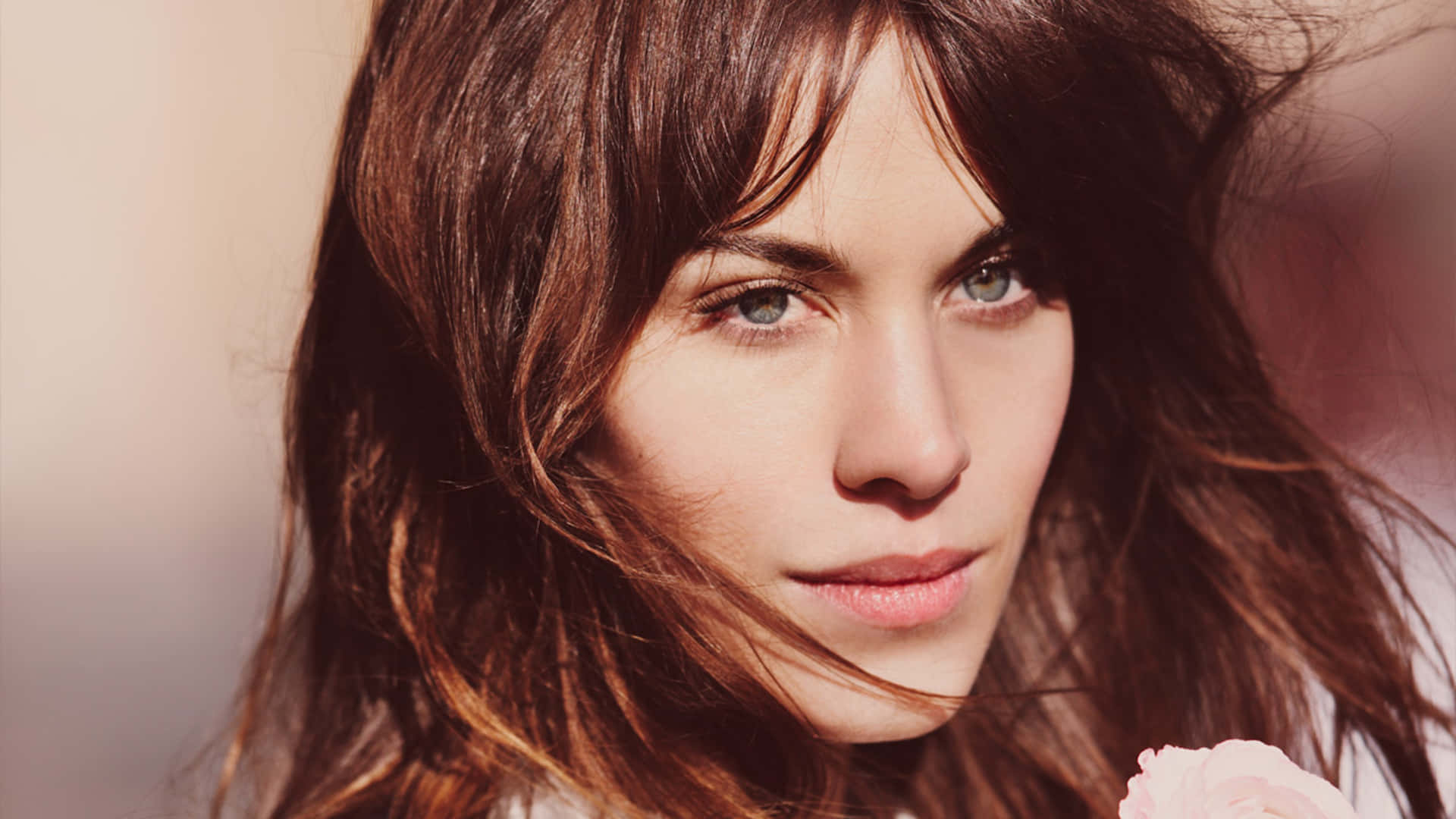 Alexa Chung Windswept Hair Wallpaper