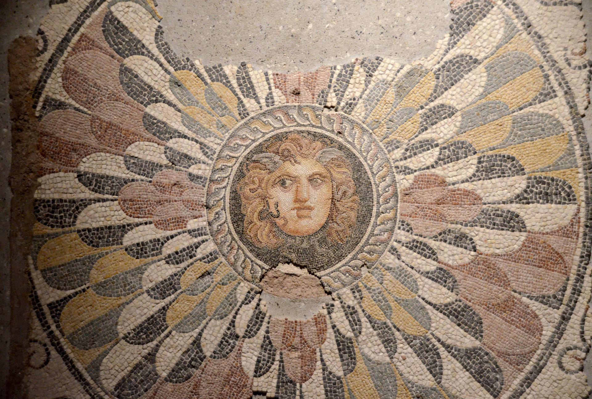 Intricate Medusa Mosaic in Alexandria Wallpaper
