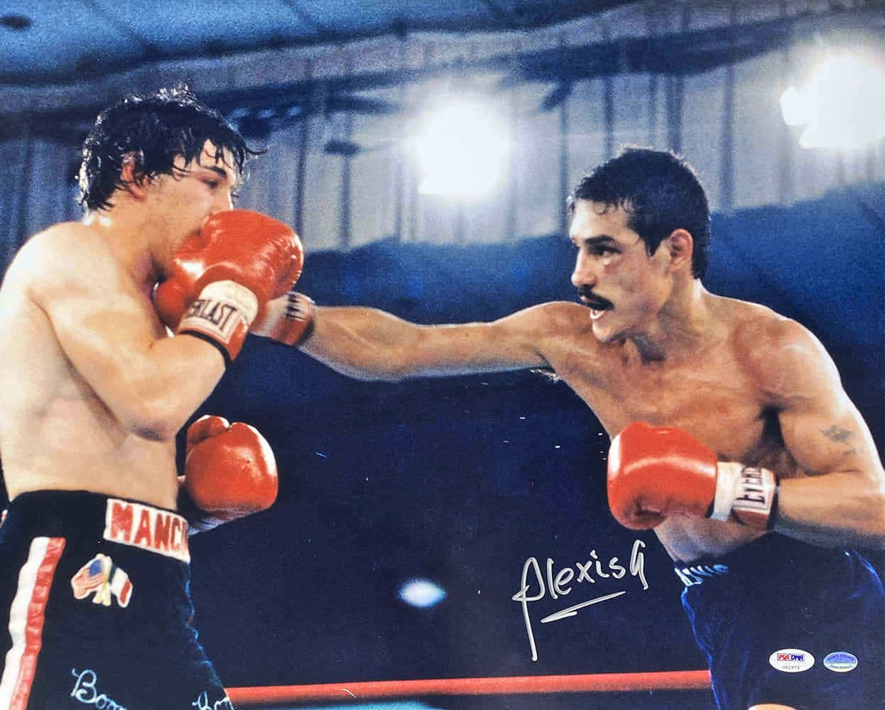 Alexis Arguello Punching Wallpaper