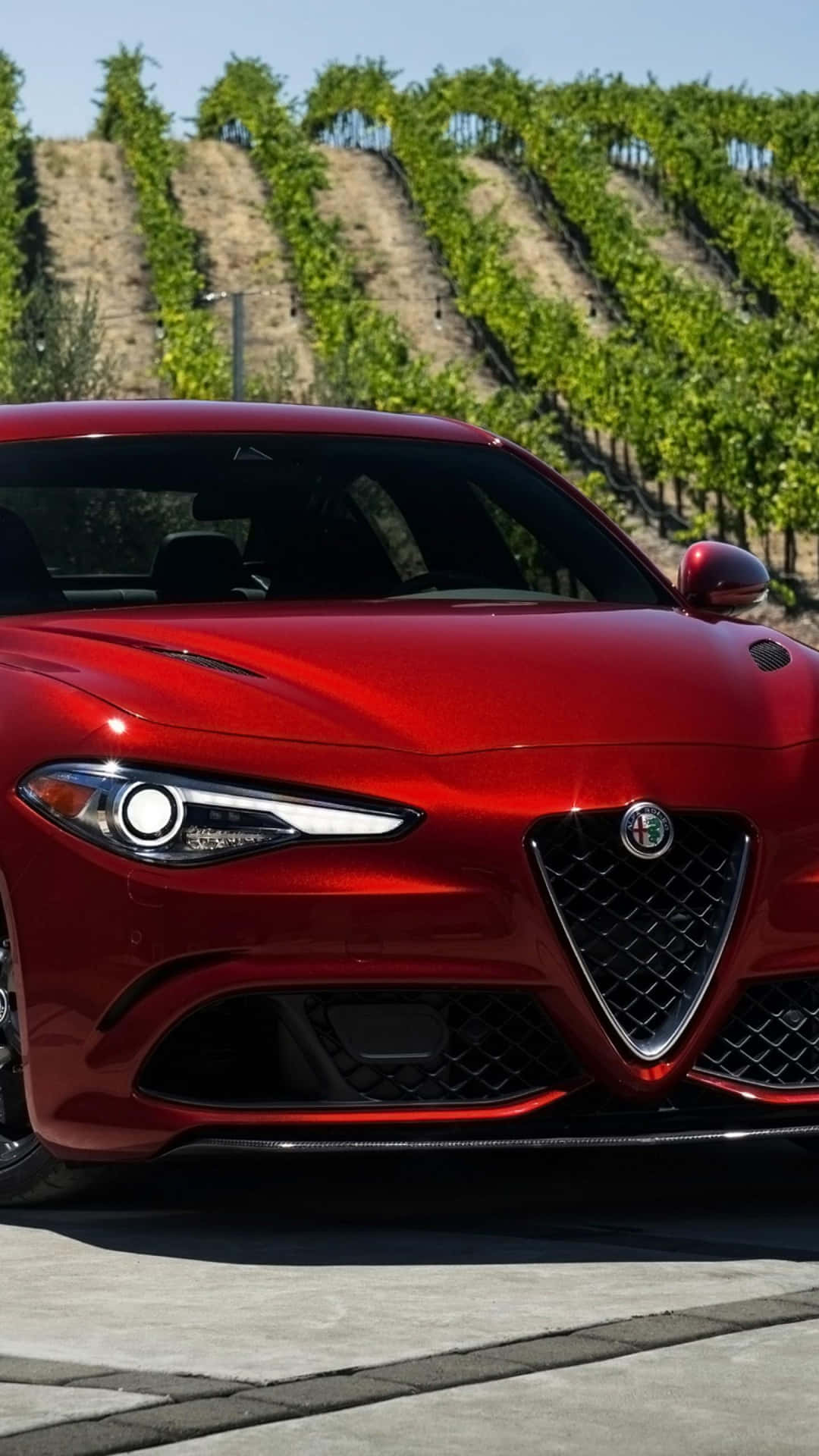 Step Into the Age of Elegance and Power with Alfa Romeo