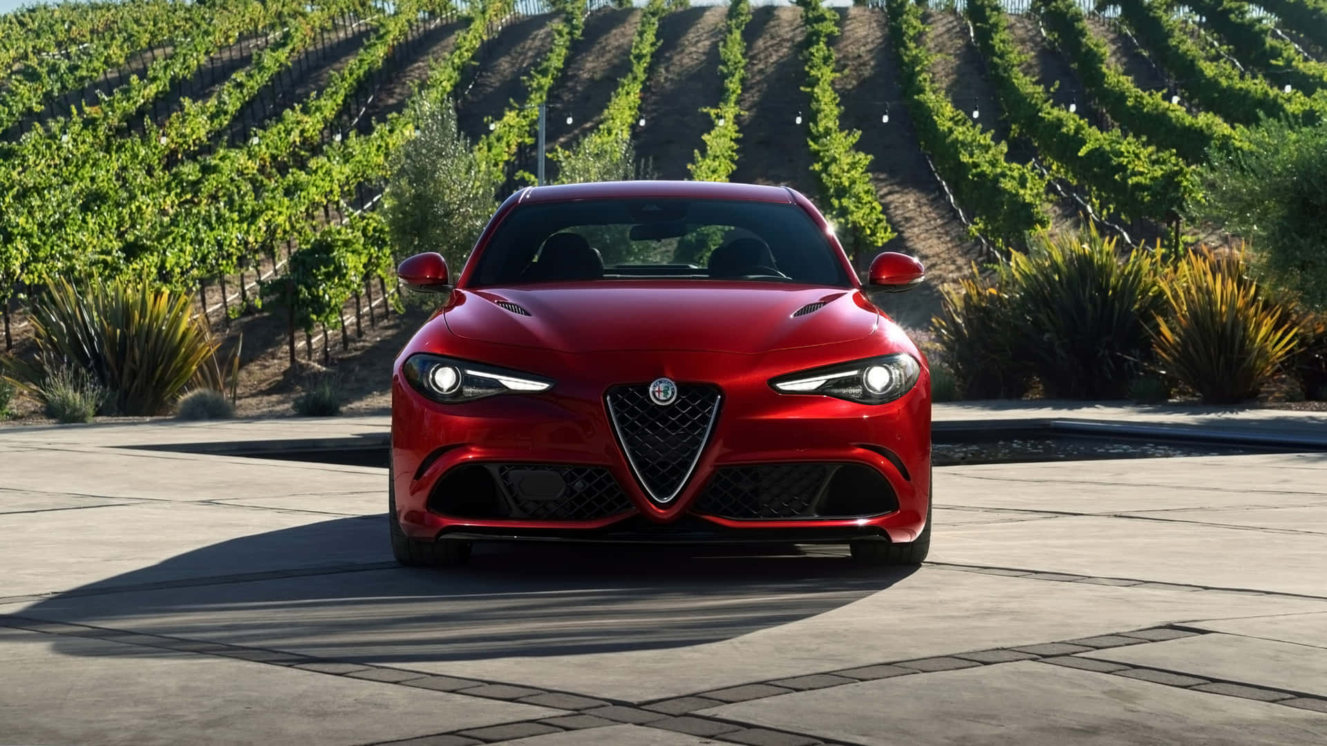 Sleek Alfa Romeo Giulia in Action Wallpaper