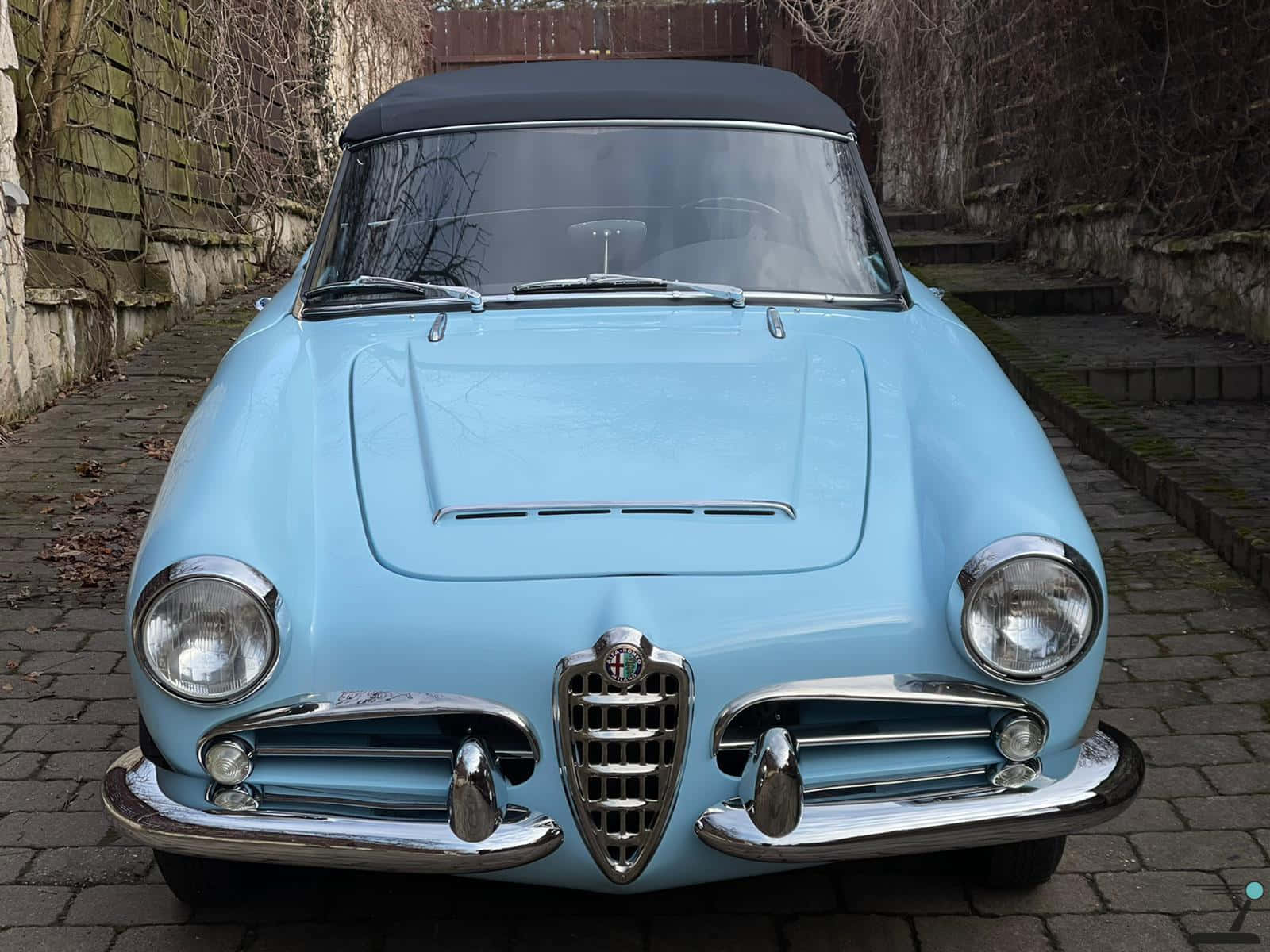 A Stunning Alfa Romeo Spider on a Scenic Drive Wallpaper