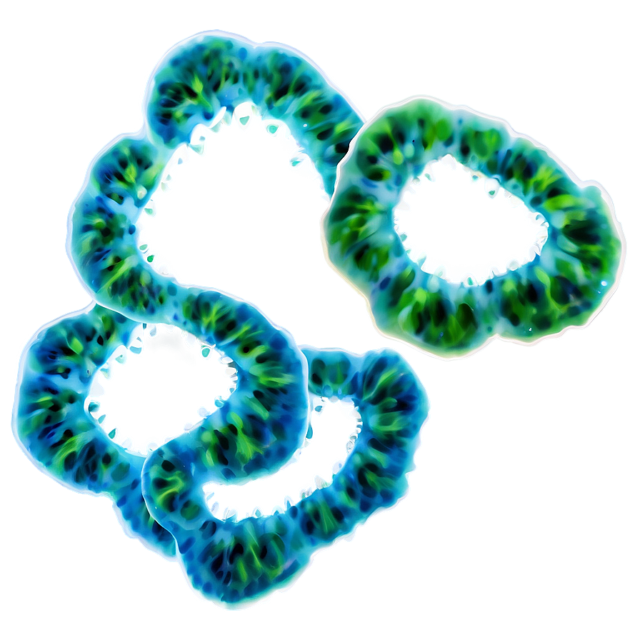 Algae B PNG