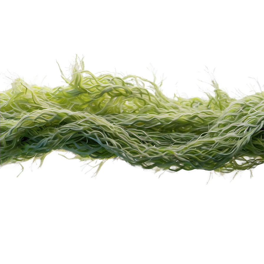 Algae-based Textile Fiber Png 13 PNG