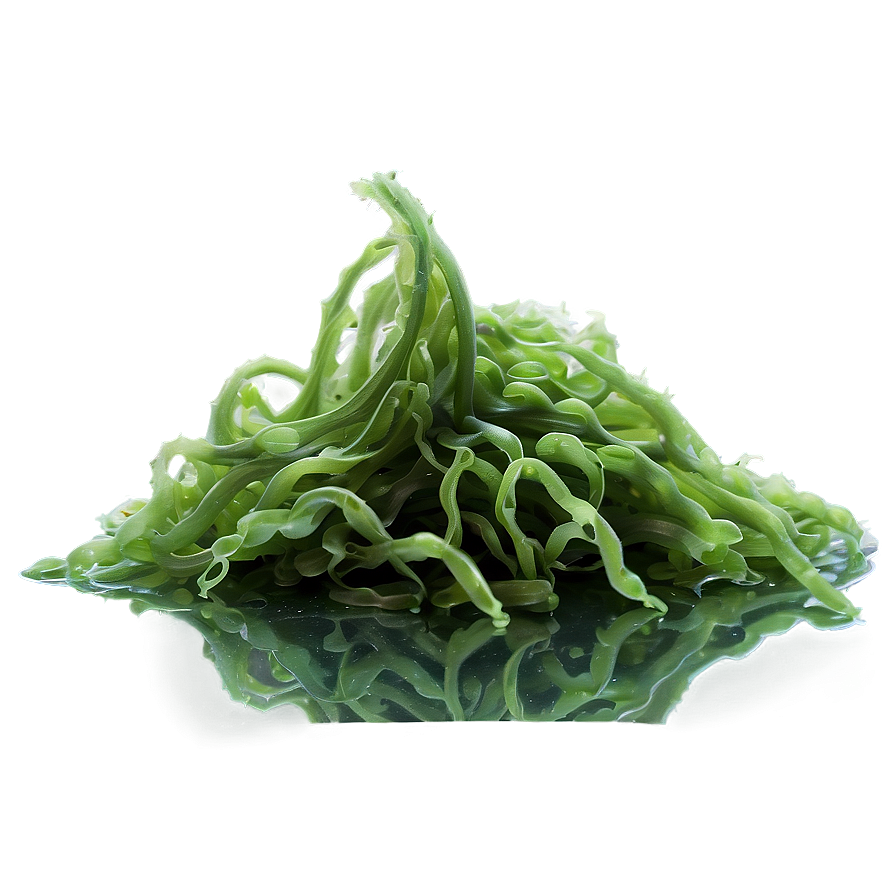 Algae-based Textile Fiber Png Wuf92 PNG