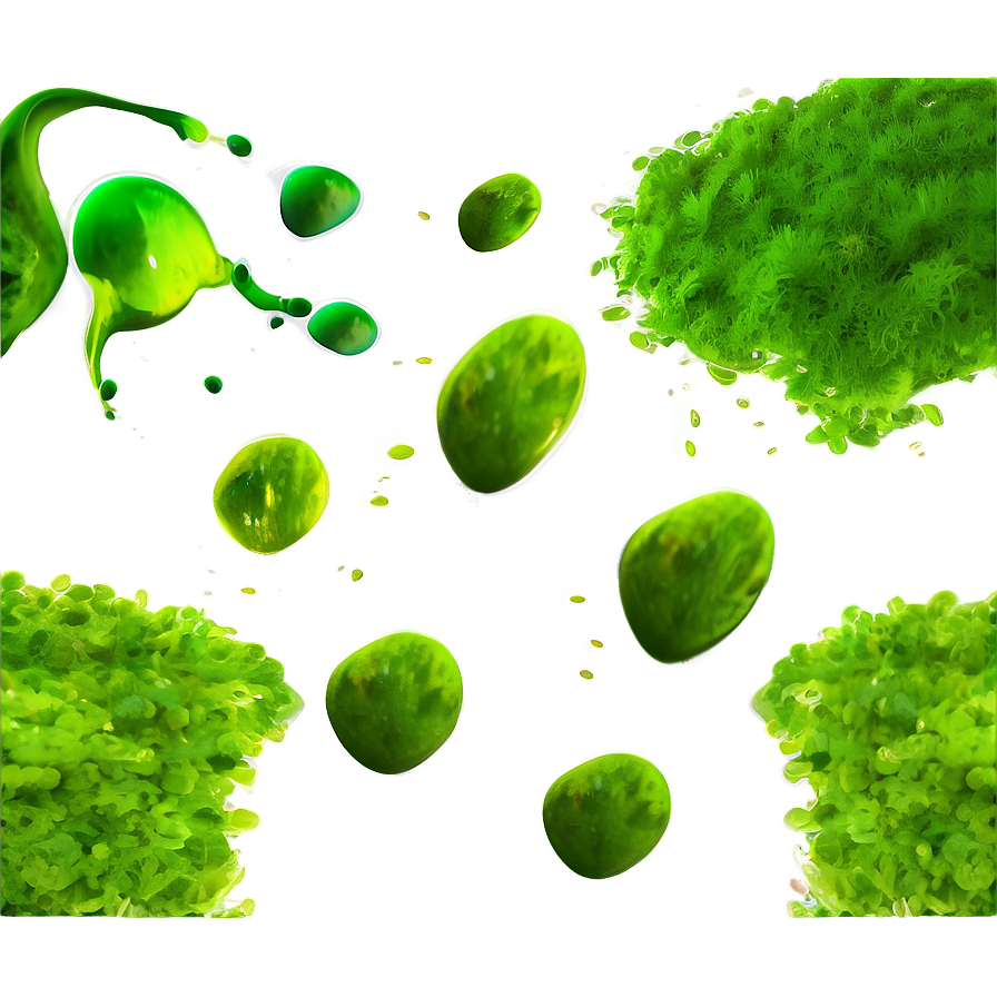 Algae Texture Background Png Wkb PNG