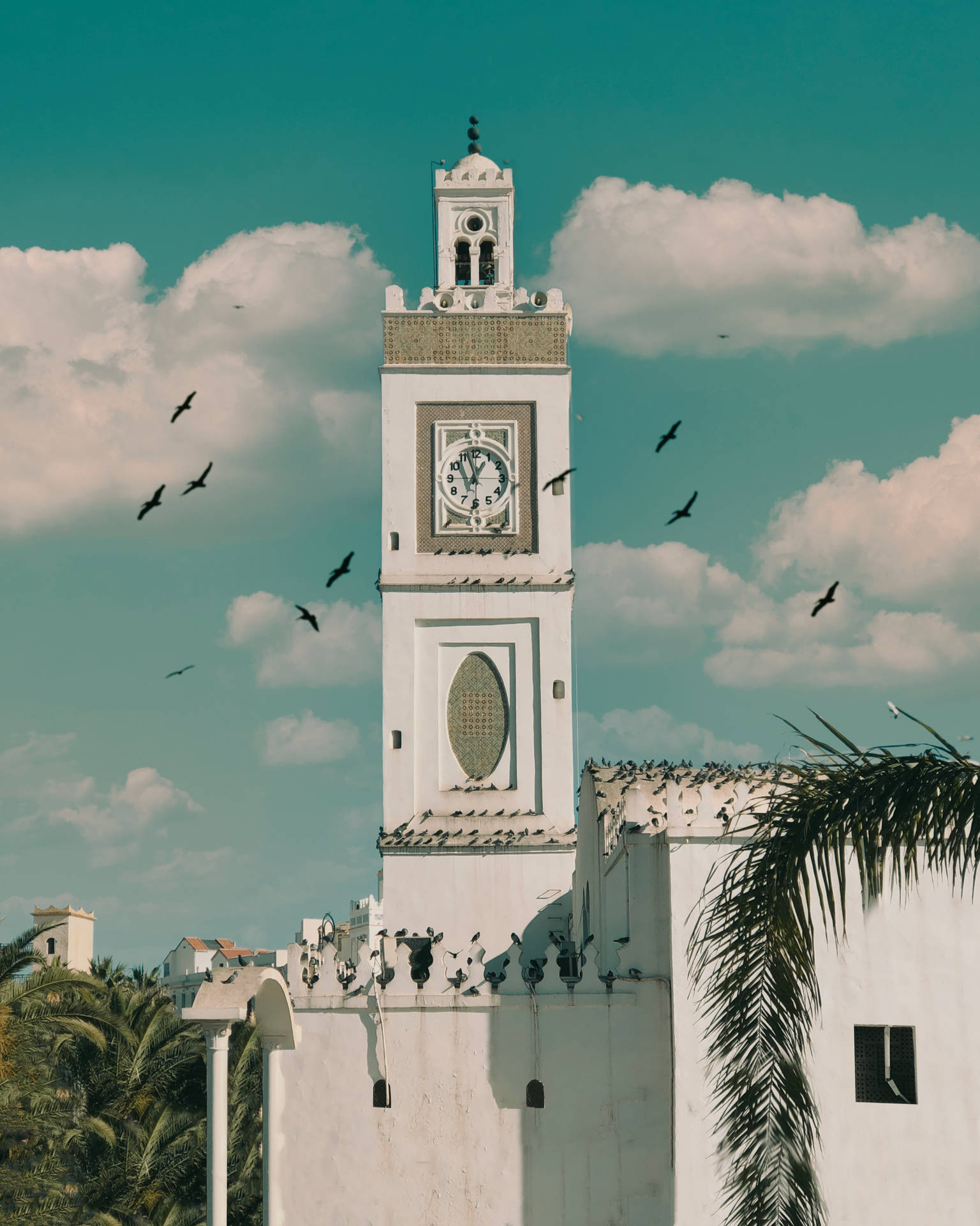 Algerischesgebäude Mit Vögeln Wallpaper