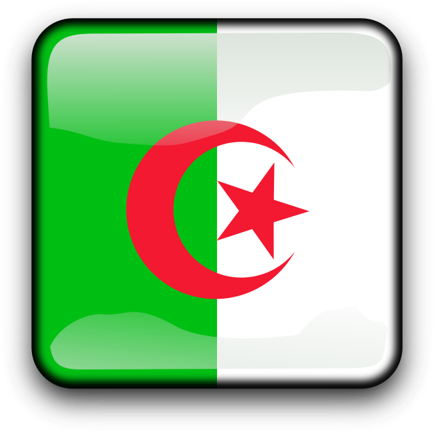 Algerian Flag Button PNG