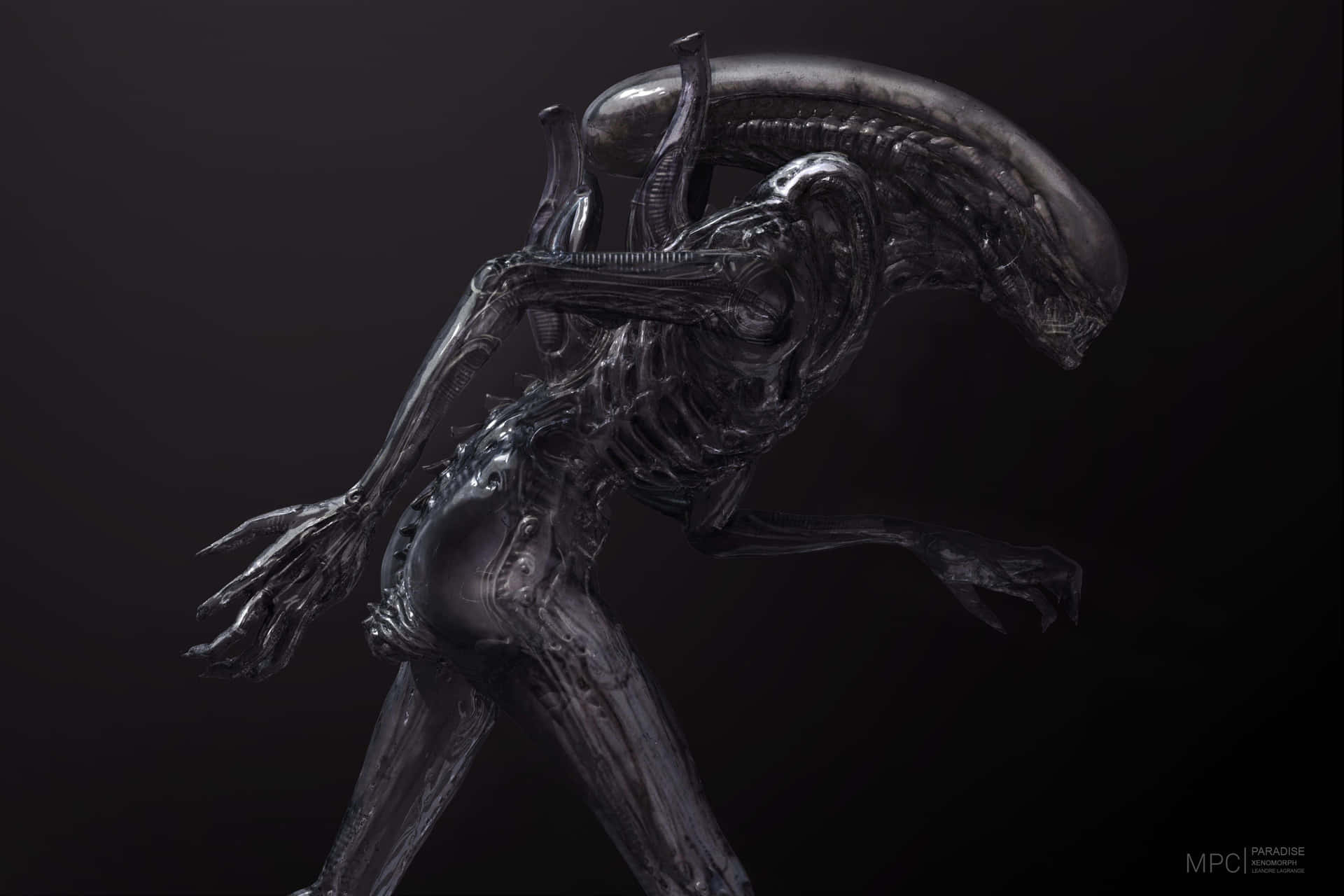 Face the Fear, Watch Alien 4K Wallpaper