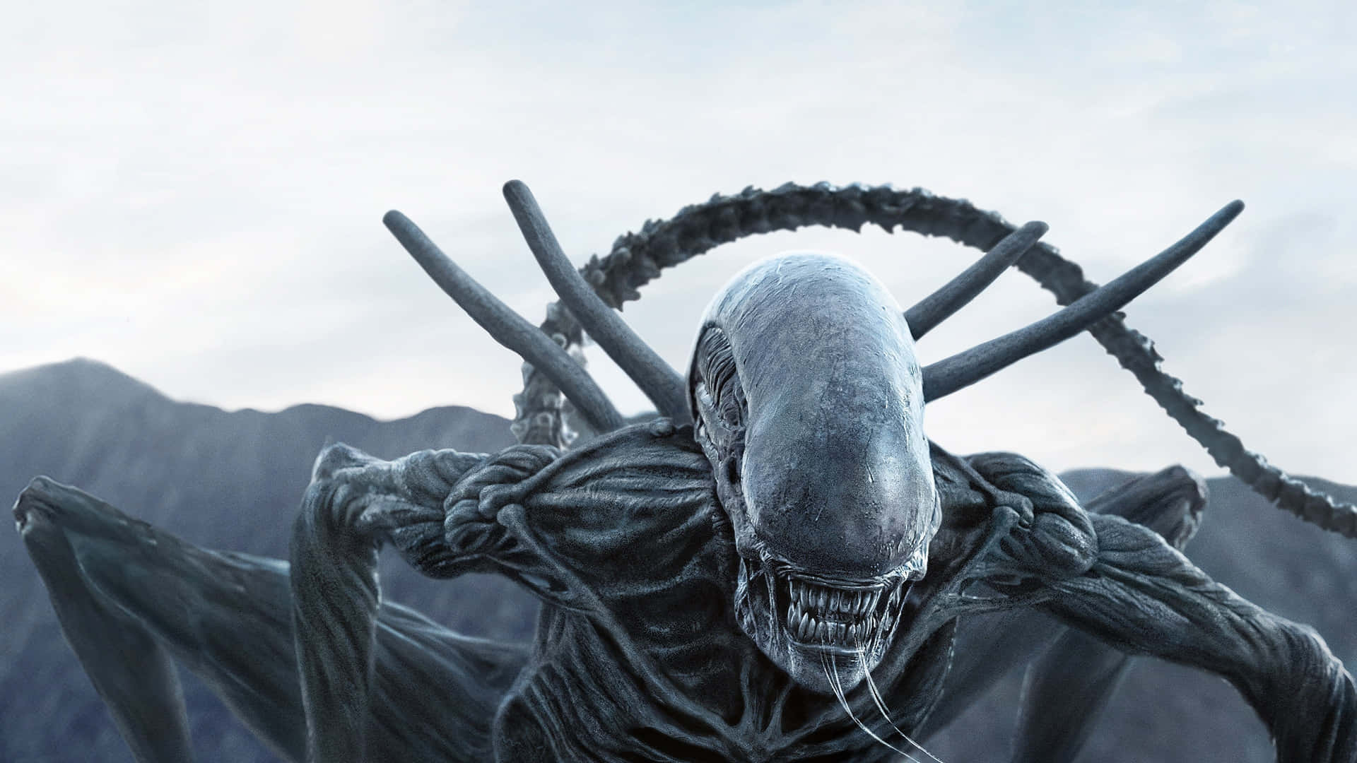 Terrifying Alien From Another World Wallpaper