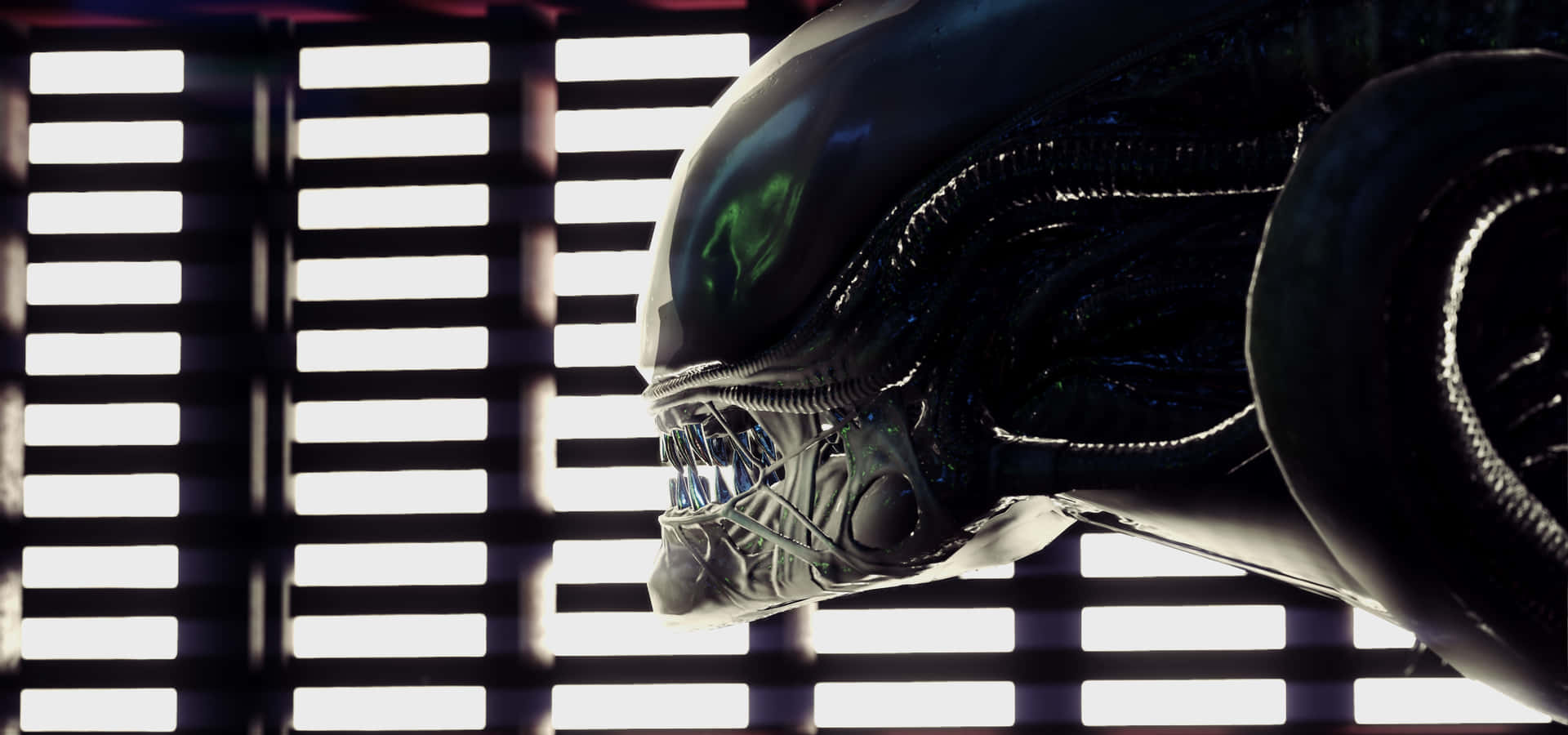 Aliensfilmen - Hd Bakgrundsbild Wallpaper