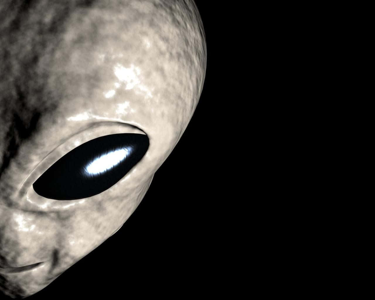 Discover the secrets of mysterious aliens