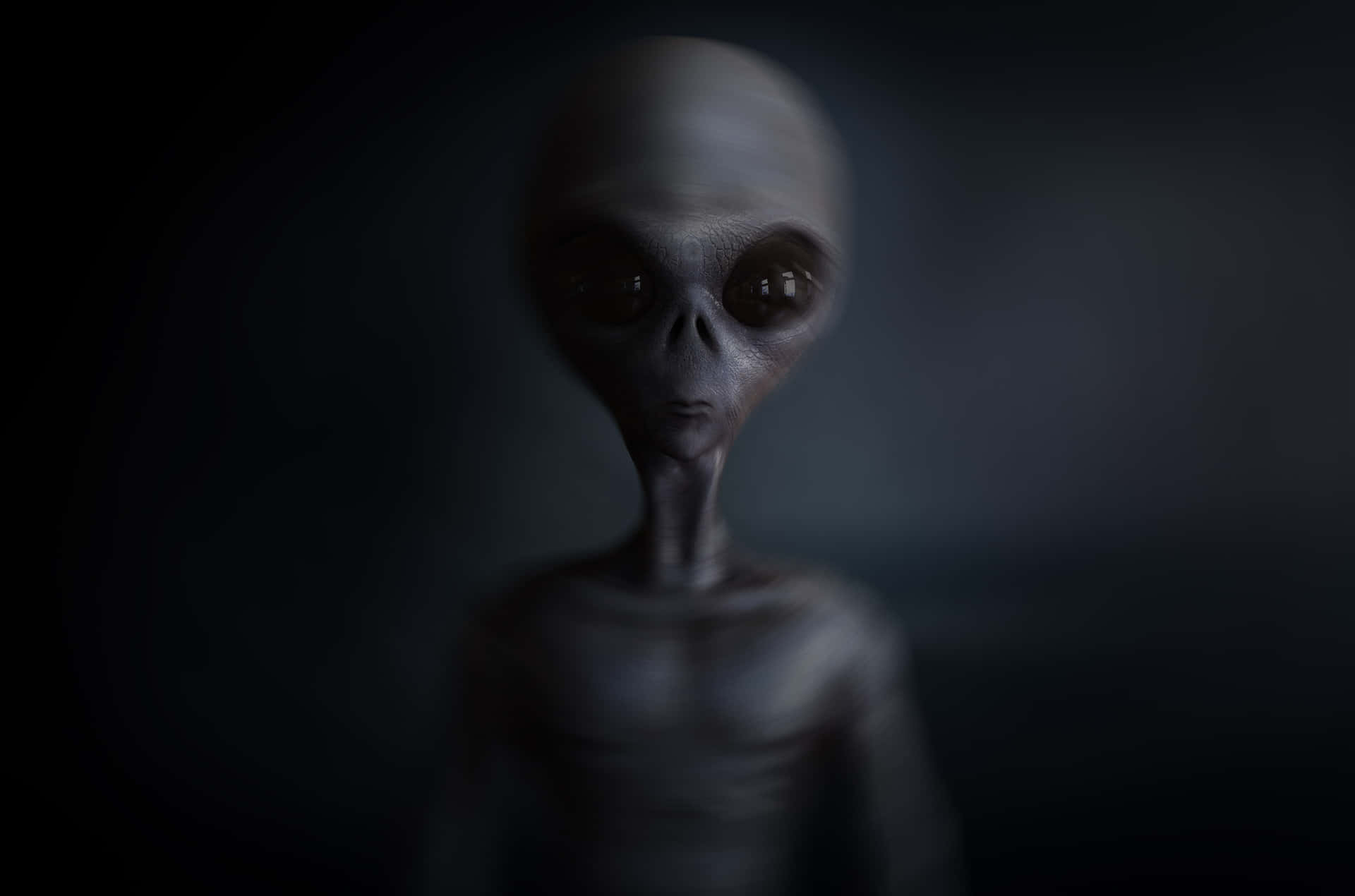 Alien Billeder 2500 X 1654