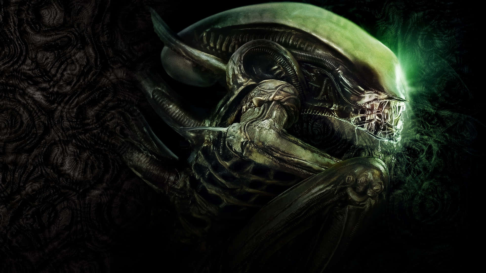 Alien_ Creature_ Green_ Glow Wallpaper