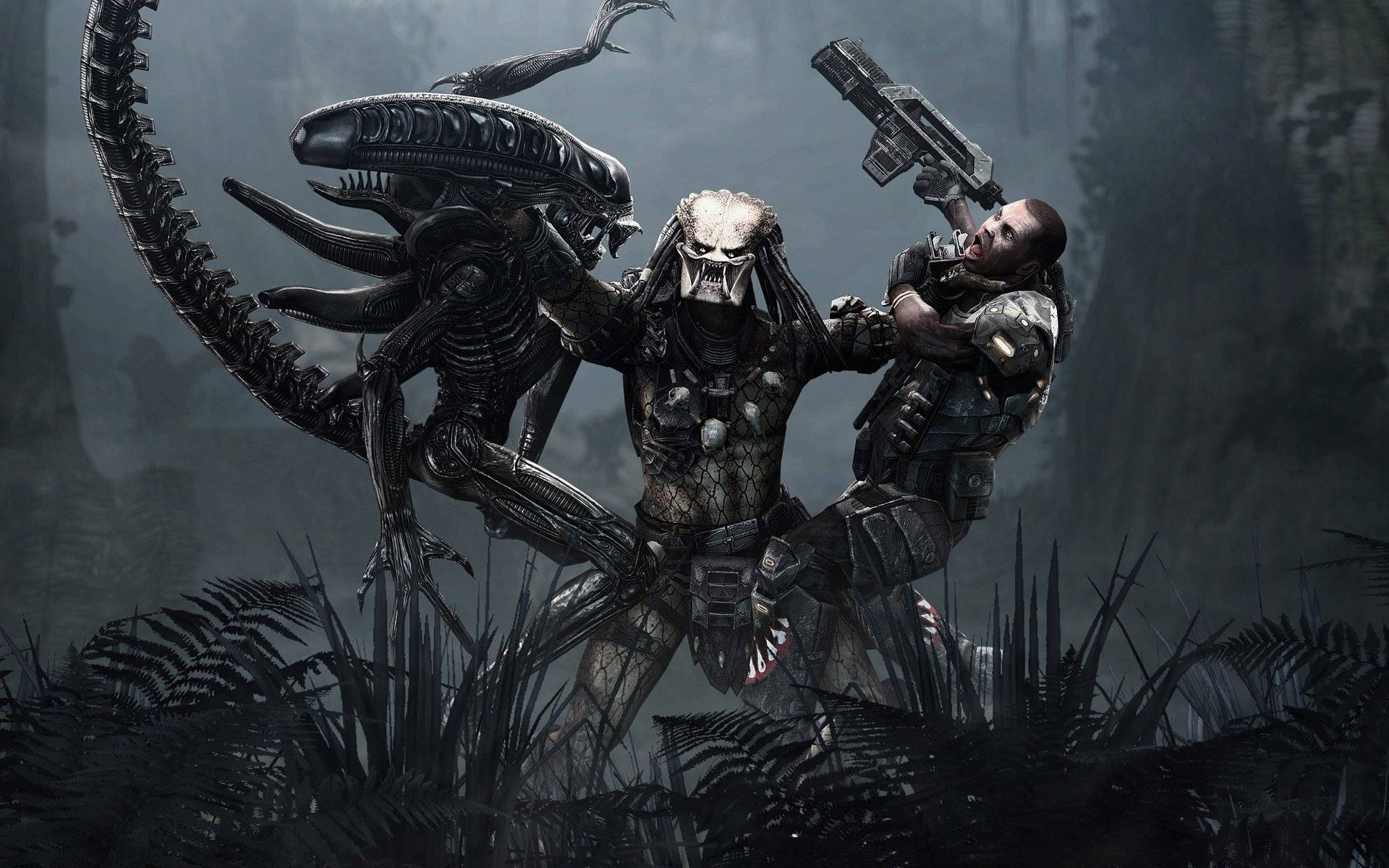 Download Alien Versus Predator Wallpaper 