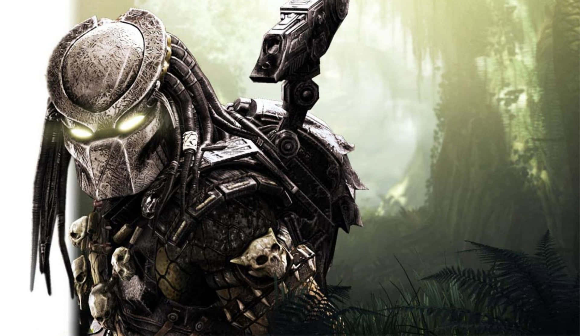 Download Alien Vs Predator Celtic And Grid Faces Wallpaper