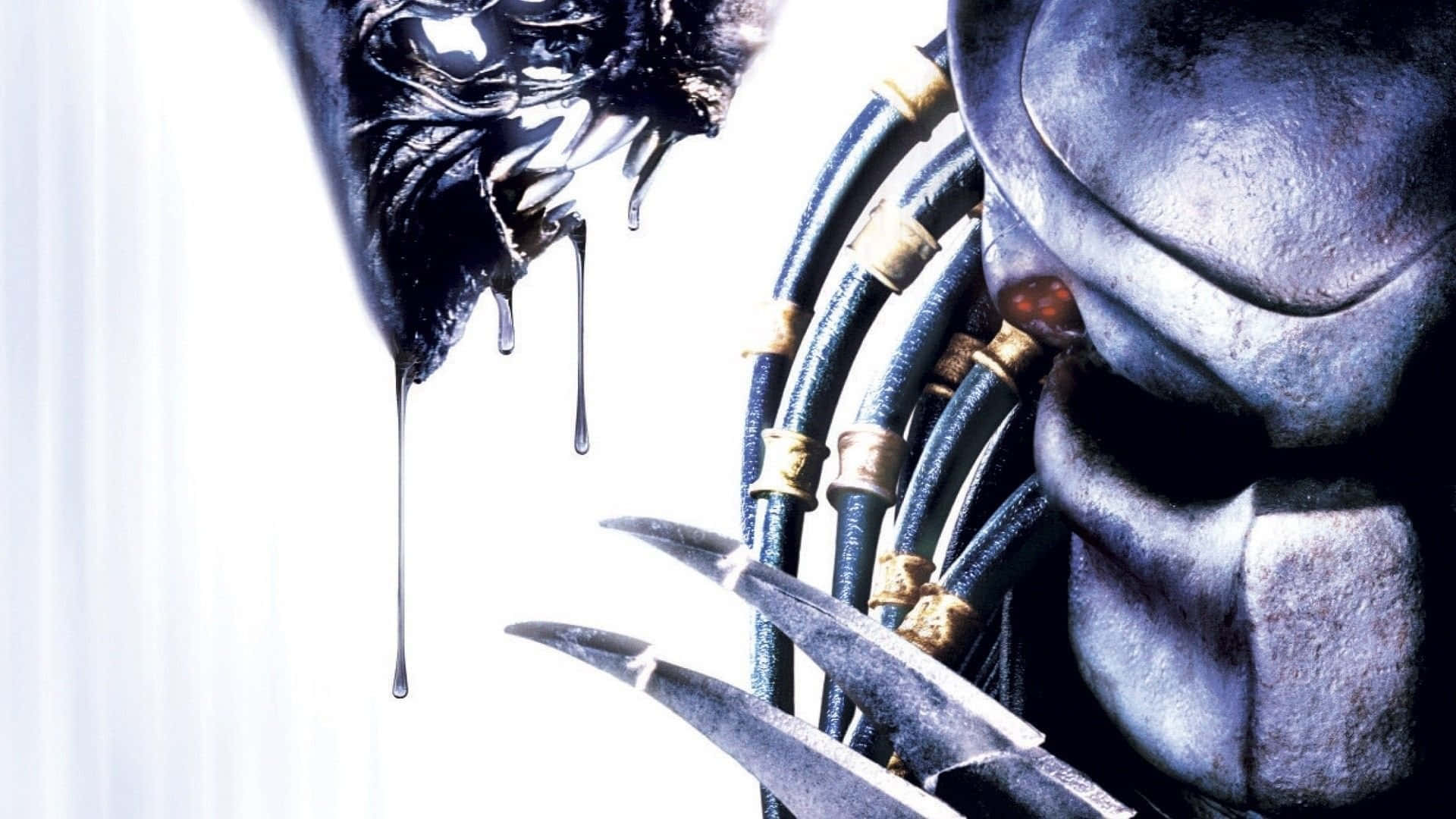 Download Alien Vs Predator Attacking Humans Wallpaper