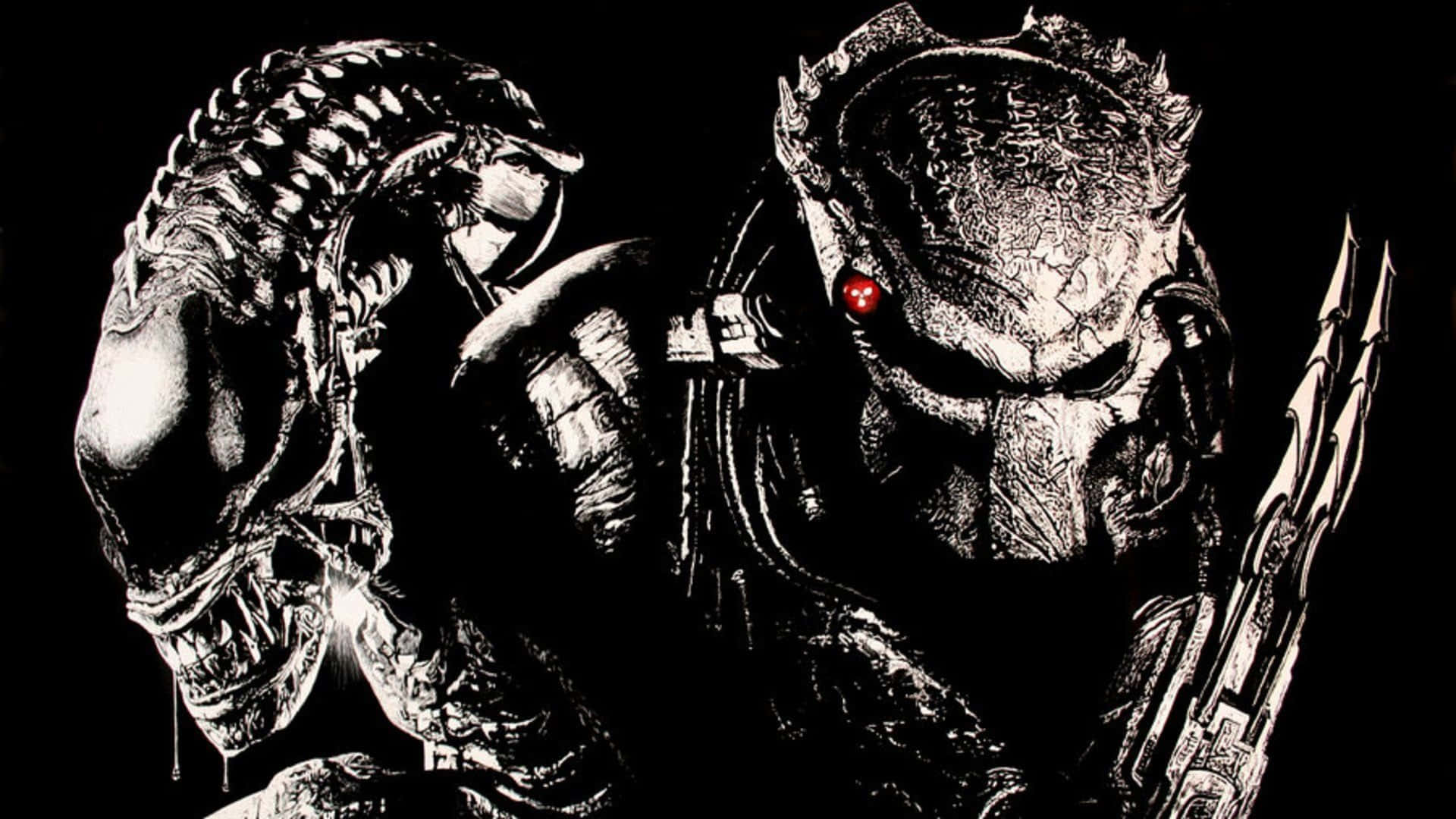 Alienvs Predator Gitter- Und Keltisch-graustufen Wallpaper