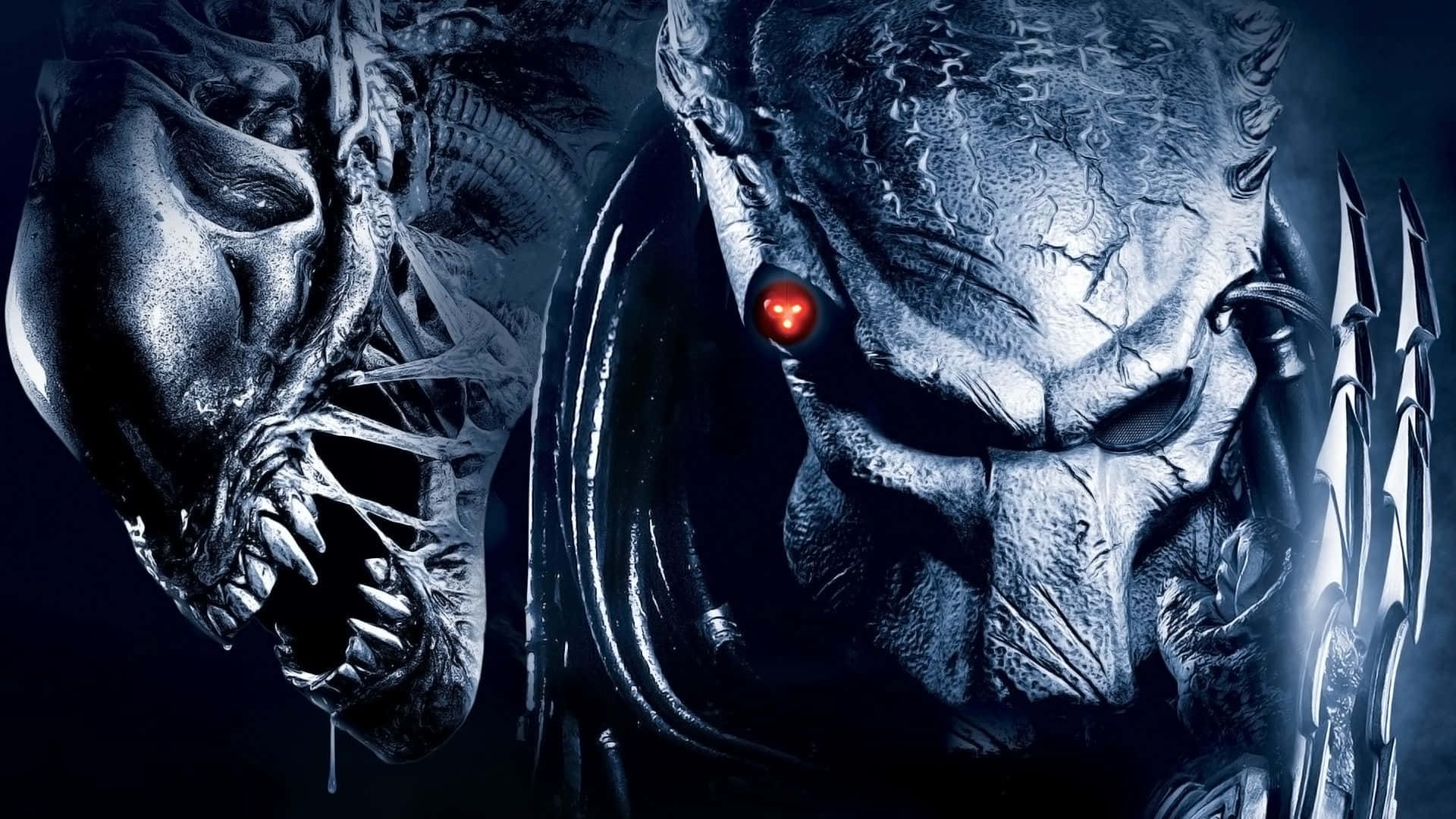Alien vs Predator Kelter og Ældre Ansigt Tapet Wallpaper