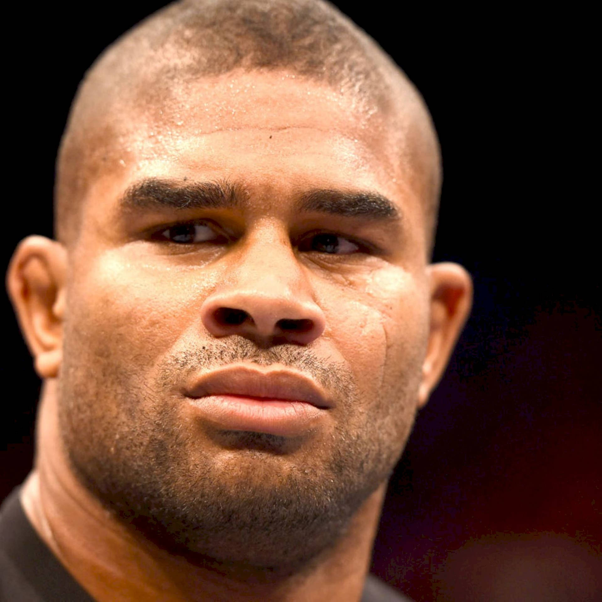Alistair Overeem Face Front View Wallpaper