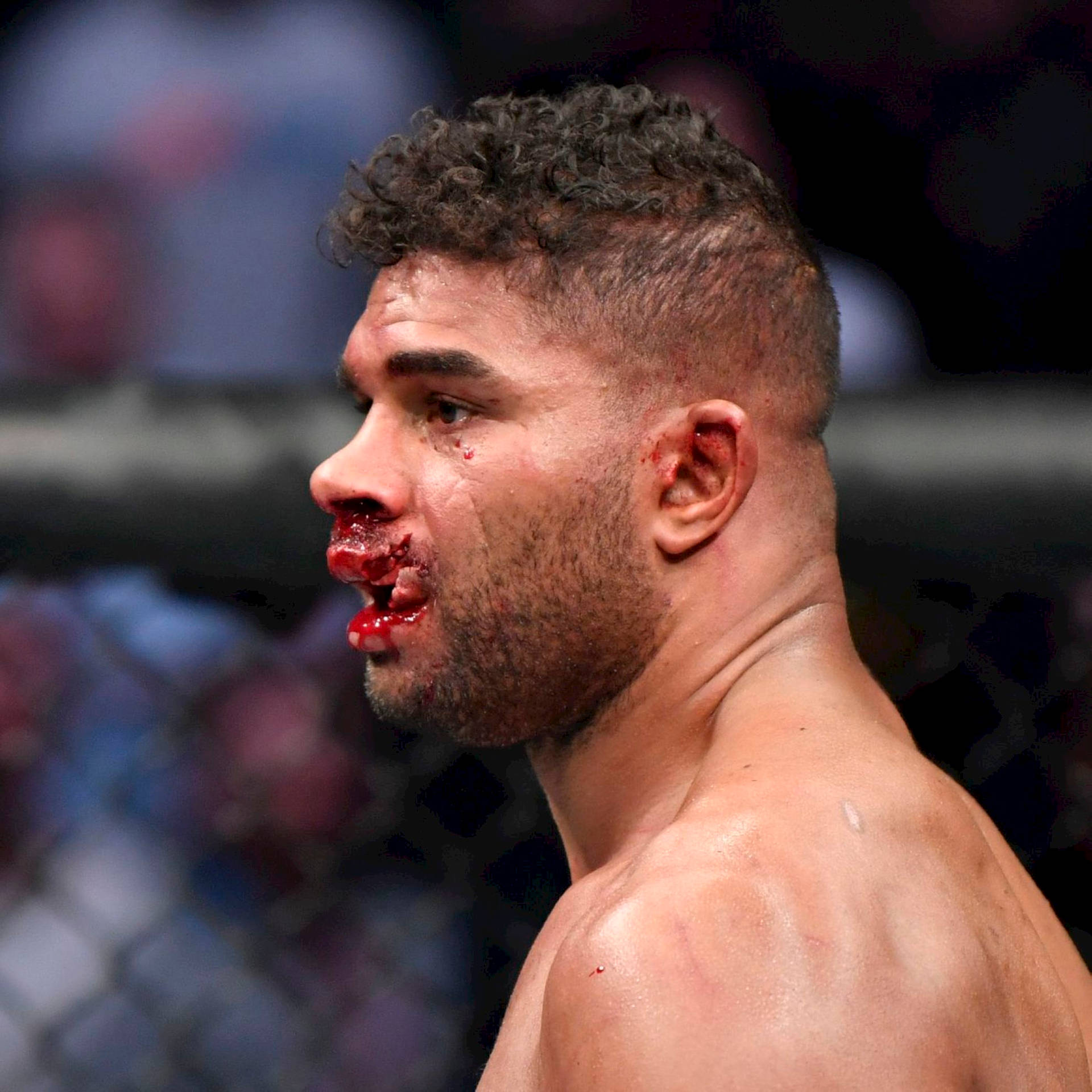 Alistair Overeem With Bloody Face Wallpaper